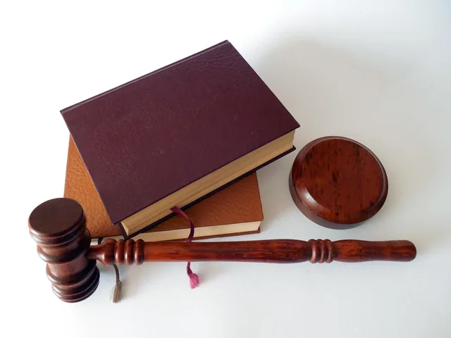 hammer, books, law, dish, lawyer, paragraphs, regulation, court of justice, a book, §, code, law books, judge, order, paragraph, rule, disposal, auction, law, law, law, law, law, lawyer, lawyer, lawyer. Business law basics examples that teach more than the theory