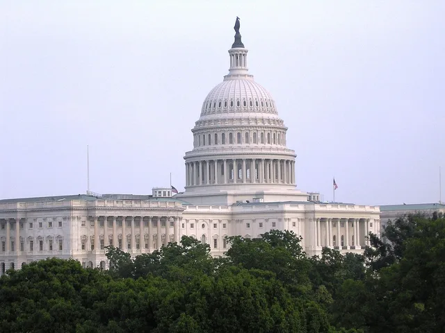 us capitol, washington dc, government, dc, us capitol, us capitol, us capitol, us capitol, washington dc, washington dc, washington dc, washington dc, government, government, government, government, government. Federal licenses: rule text, guidance or a phone call?