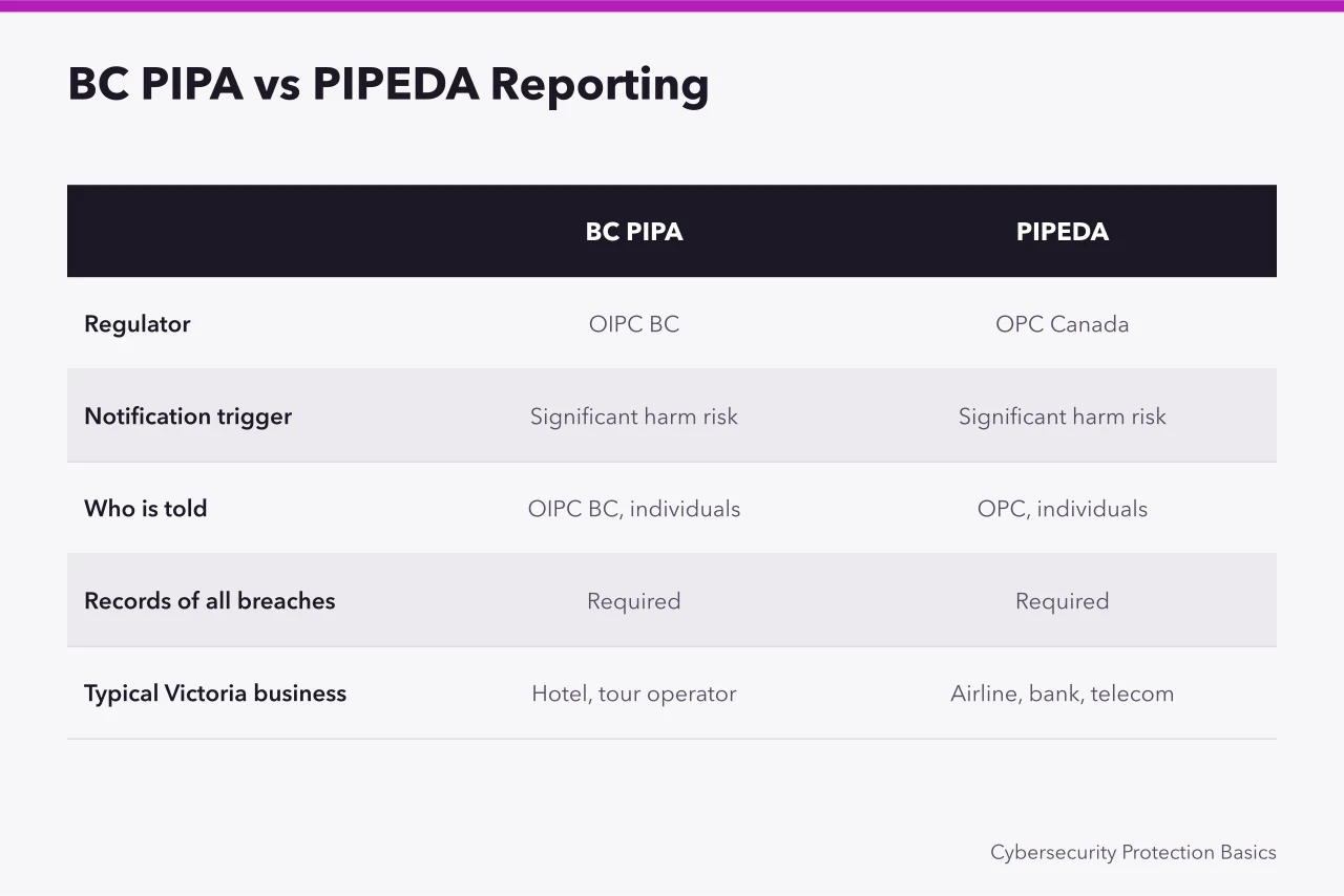 Comparison table of BC PIPA and PIPEDA breach reporting requirements (Does BC's PIPA change what a Victoria tourism business must report?)